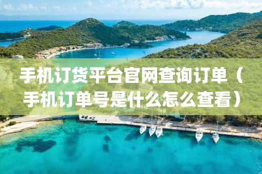 手机订货平台官网查询订单（手机订单号是什么怎么查看）